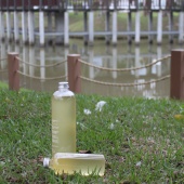 單瓶,胺基酸液態皂-500ml.中性