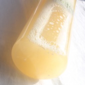 香氛胺基酸液態皂-佛手柑清新1000ml